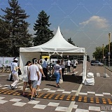 "Зеленый марафон" Сбербанк