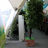 10 лет с момента начала работы АШАН в России. Организатор мероприятия Студия Никитина